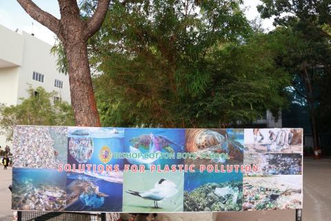 World Environment Day Celebrations - 26