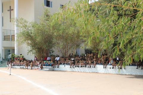 Cottonian Shield Finals - Album 3