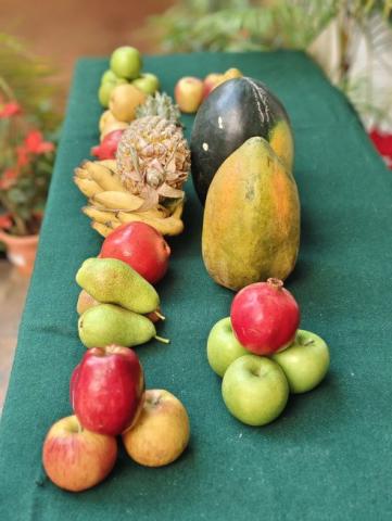  Fruit Frenzy 